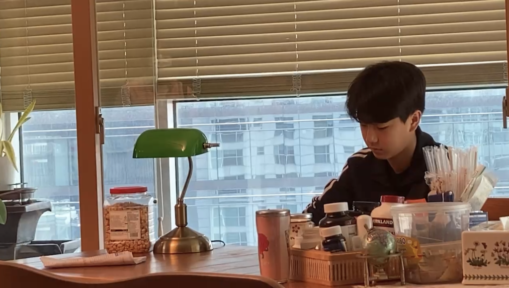 아들역 장준혁 ( a roll of a son)